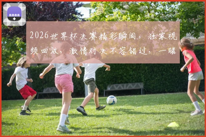 2026世界杯决赛精彩瞬间，独家视频回放，激情对决不容错过，一睹为快