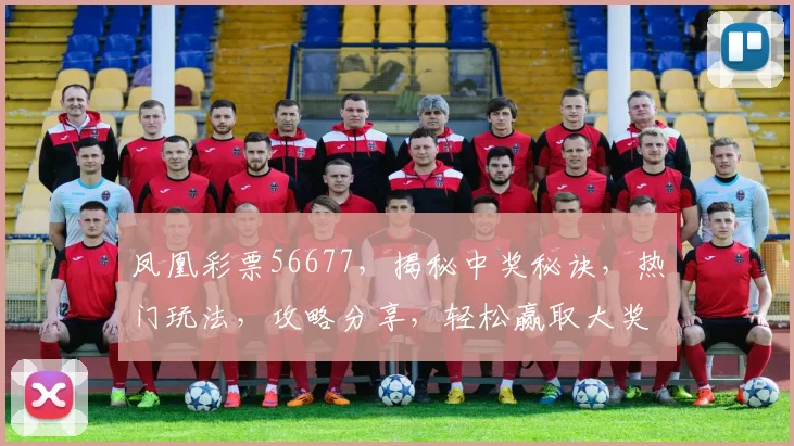 凤凰彩票56677，揭秘中奖秘诀，热门玩法，攻略分享，轻松赢取大奖