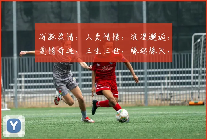 海豚柔情，人类情愫，浪漫邂逅，爱情奇迹，三生三世，缘起缘灭，情动心扉